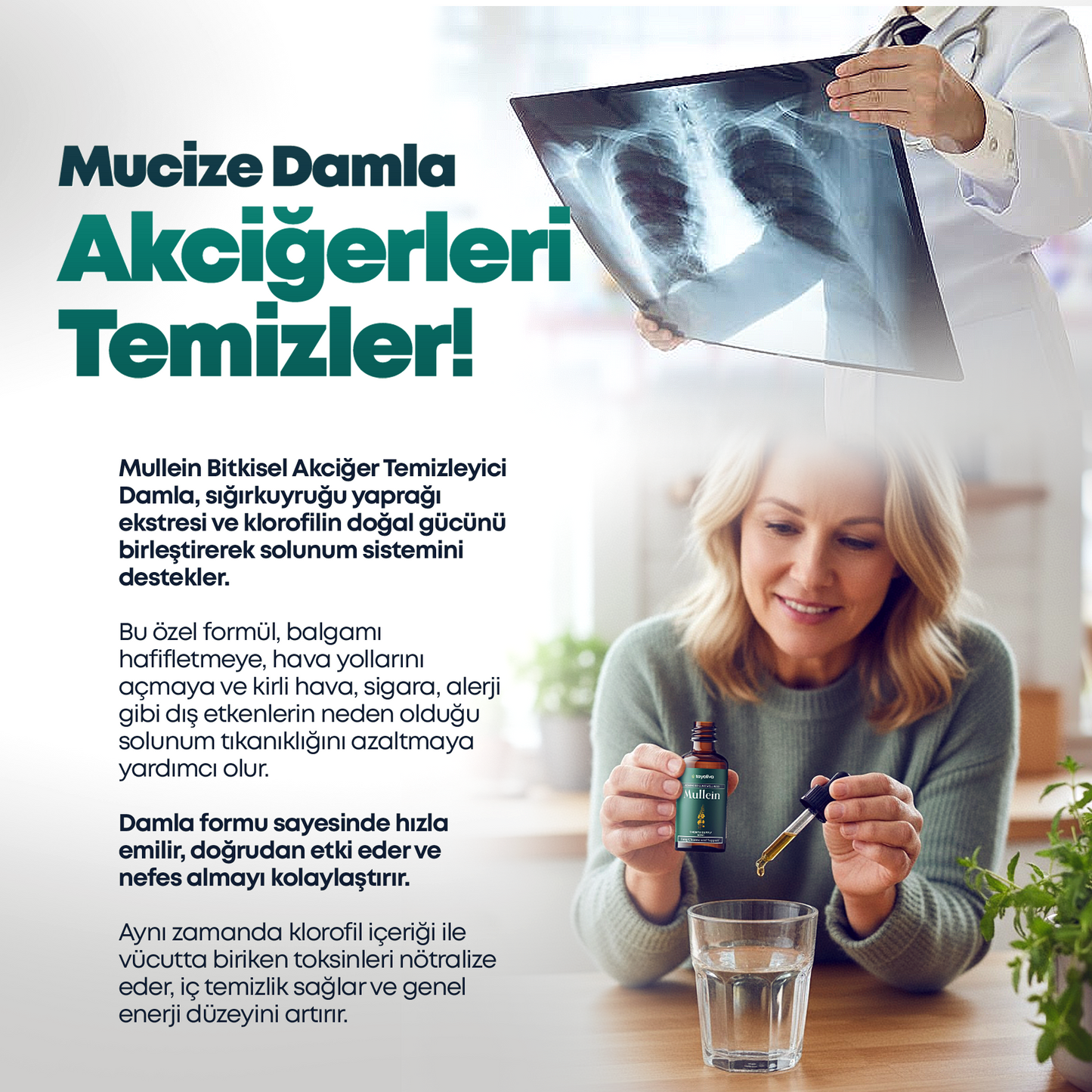 Mullein – Bitkisel Akciğer Temizleyici Damla