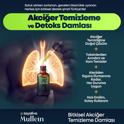 Mullein – Bitkisel Akciğer Temizleyici Damla